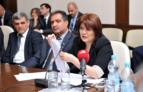Vüsalə Mahirqızı APA-nın yazdığını sənədlərlə sübut etdi